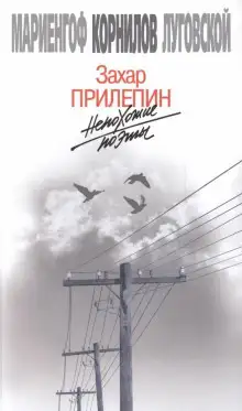 Обложка книги Непохожие поэты