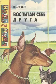 Обложка книги Воспитай себе друга
