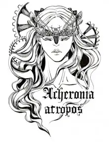 Обложка книги В поиске Холи