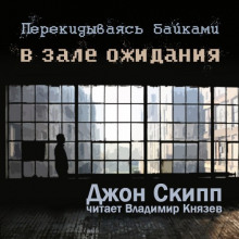 Обложка книги Перекидываясь байками в зале ожидания