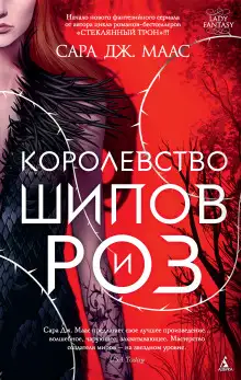 Обложка книги Королевство шипов и роз