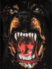 Обложка книги Ротвейлер