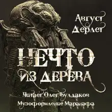 Обложка книги Нечто из дерева
