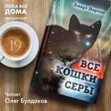 Обложка книги Все кошки серы