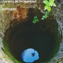 Обложка книги Колодец