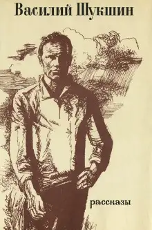 Обложка книги Танцующий Шива