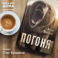 Обложка книги Погоня