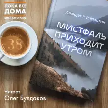 Обложка книги Мистфаль приходит утром