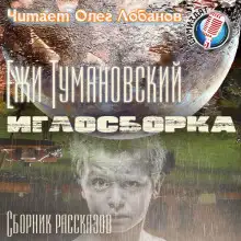 Обложка книги Иглосборка