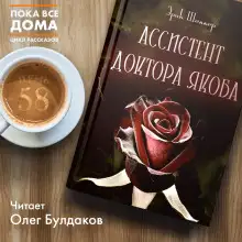Обложка книги Ассистент доктора Якоба