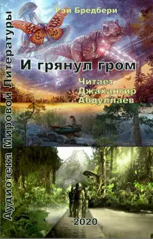 Обложка книги И грянул гром