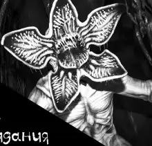 Обложка книги Фаза кошмара