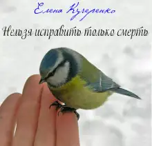 Обложка книги Нельзя исправить только смерть