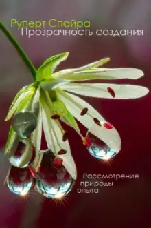 Обложка книги Прозрачность создания