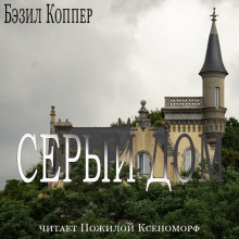 Обложка книги Серый дом