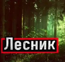 Обложка книги Лесник