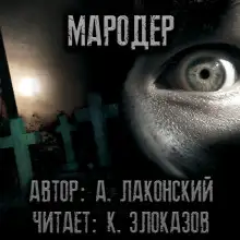 Обложка книги Мародёр