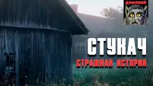 Обложка книги Стукач