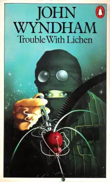 Обложка книги Видеорама Пооли