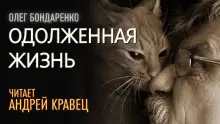 Обложка книги Одолженная жизнь