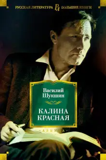 Обложка книги Чудик