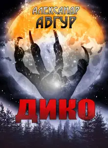 Обложка книги ДИКО