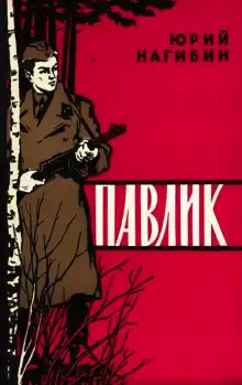 Обложка книги Павлик