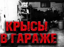 Обложка книги Крысы в гараже