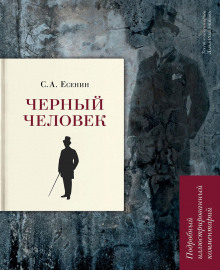 Обложка книги Чёрный человек