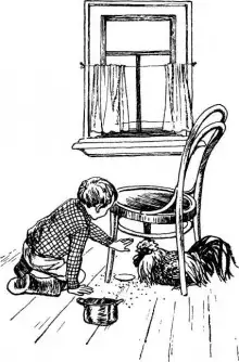 Обложка книги Как патефон петуха от смерти спас