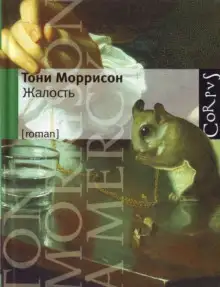 Обложка книги Жалость