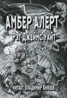 Обложка книги Амбер Алерт