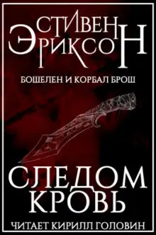 Обложка книги Следом кровь