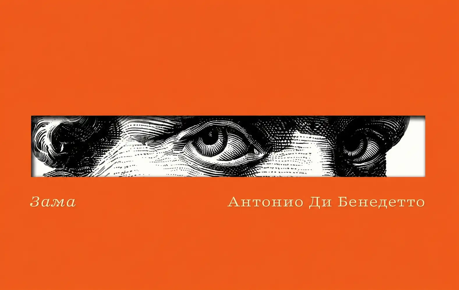 Обложка новости Антонио Ди Бенедетто «Зама»