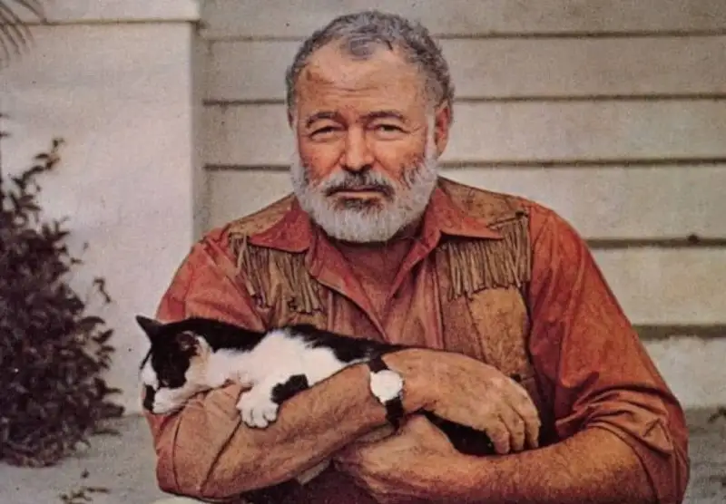 Обложка новости Книги Сорокина и Хемингуэя исключили из перечня произведений, подлежащих маркировке