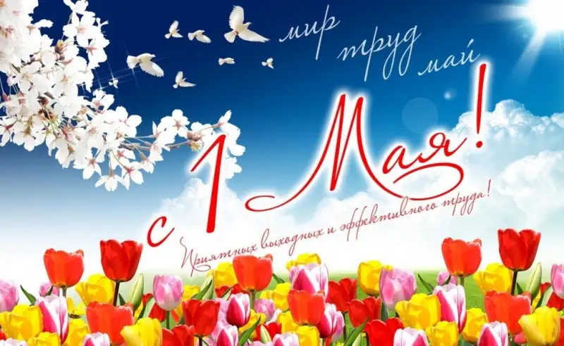 Обложка новости C 1 мая Друзья!